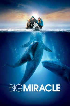 鲸奇,Big Miracle(2012电影)