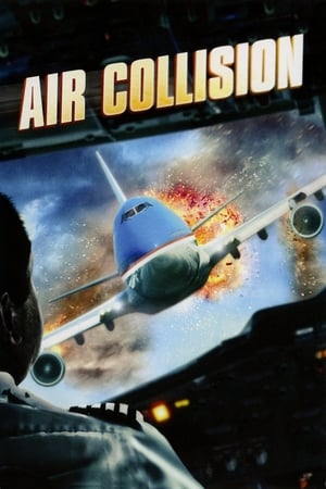 撞机,Air Collision(2012电影)