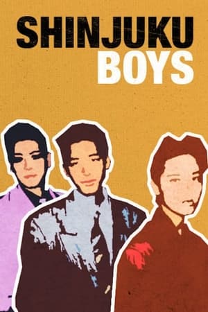 新宿男孩,Shinjuku Boys(1995电影)