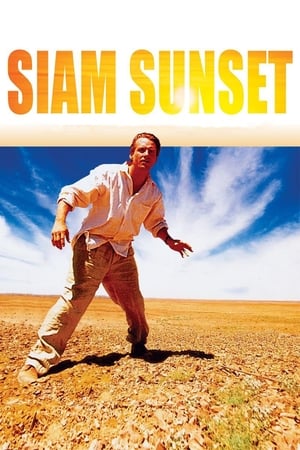 生命奇色,Siam Sunset(1999电影)