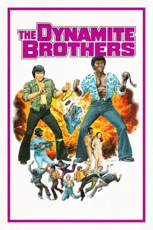 功夫兄弟,Dynamite Brothers(1974电影)
