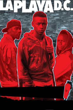 海滩,La playa DC(2012电影)