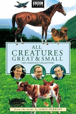 万物生灵,All Creatures Great and Small(1978电视剧集)
