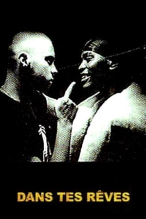 在你的梦里,<em>Dan</em>s tes rêves(2005电影)