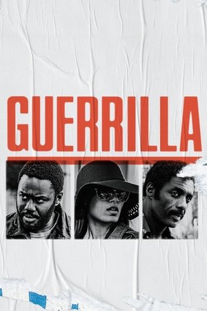 游击队,Guerrilla(2017电视剧集)
