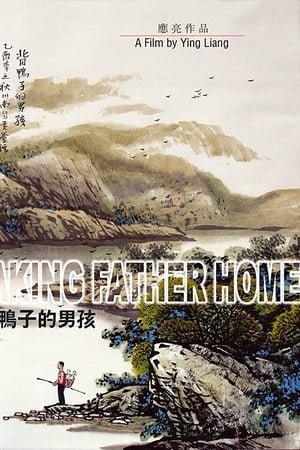 背鸭子的男孩(2005电影)