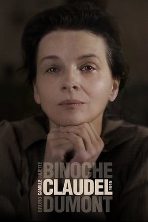 1915年的卡蜜儿,Camille Claudel, 1915(2013电影)