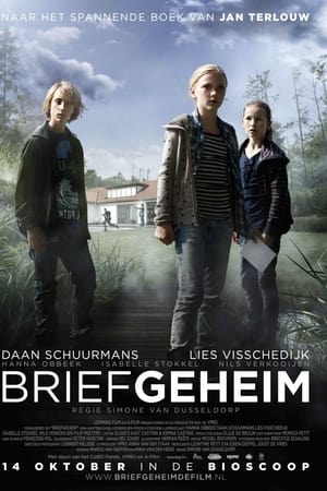 小鬼追凶,Briefgeheim(2010电影)