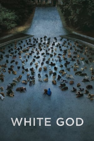 白色上帝,Fehér Isten(2014电影)