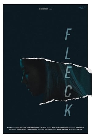 Fleck海报
