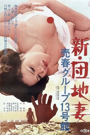 新·团地妻 卖淫集团13号馆,新･団地妻　売春グループ１３号館(1975电影)