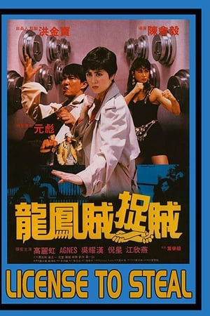 龙凤贼捉贼,龍鳳賊捉賊(1990电影)