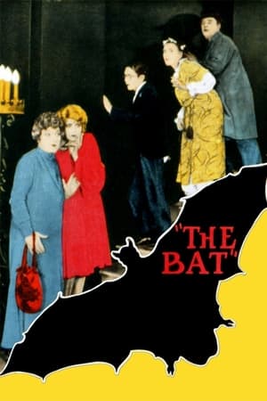 蝙蝠,The Bat(1926电影)