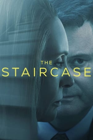 阶梯之间,The Staircase(2022电视剧集)