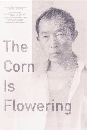 阳光照在草上(2015电影)