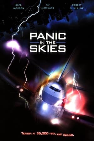Panic in the Skies!电影海报