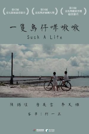 一只鸟仔哮啾啾
