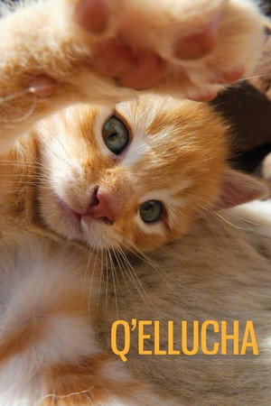 Q’ellucha电影海报