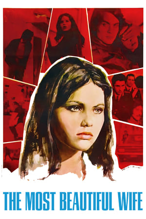 最美丽的妻子,La moglie più bella(1970电影)