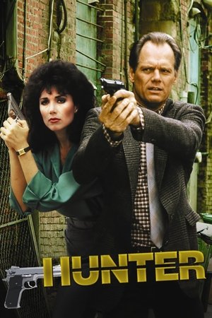 神探亨特,Hunter(1984电视剧集)
