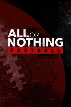 孤注一掷,All or Nothing(2016电视剧集)