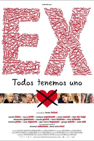 前任,Ex(2009电影)