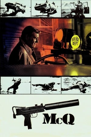 盗毒,McQ(1974电影)
