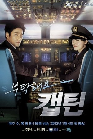 拜托了机长,부탁해요 캡틴(2012电视剧集)