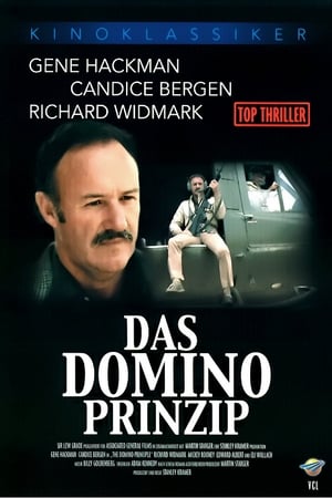 多米诺骨牌,The Domino Principle(1977电影)
