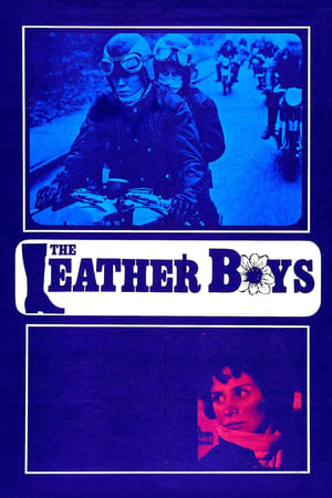 皮革男孩,The Leather Boys(1964电影)