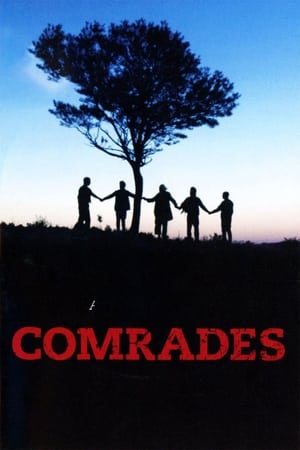 同志们,Comrades(1987电影)
