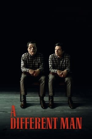 不同的男人,A Different Man(2024电影)