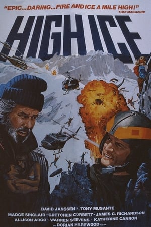 冰峰抢险队,High Ice(1980电影)