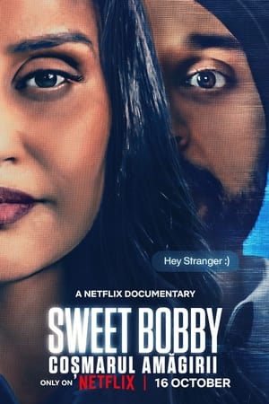 糖衣噩梦：我经历的那场网络诈骗,<em>Sweet</em> Bobby: My Catfish Nightmare(2024电影)