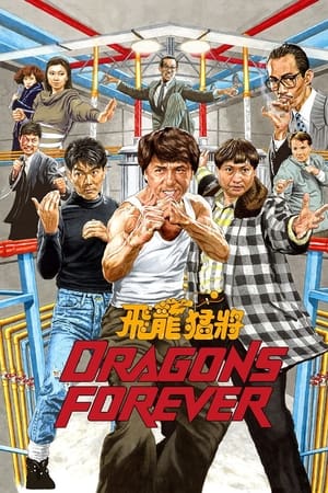 飞龙猛将