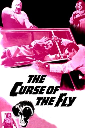 变蝇人的诅咒,Curse of the Fly(1965电影)