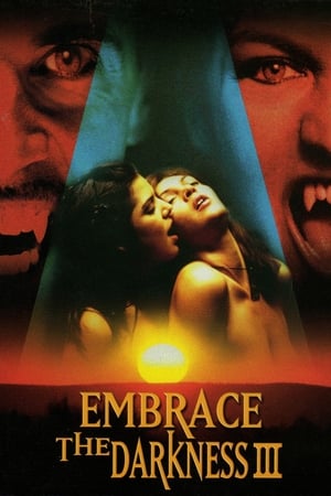 拥抱黑暗3,Embrace the Darkness III(2002电影)