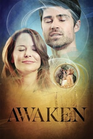 觉醒,Awaken(2013电影)