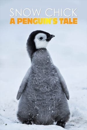 帝企鹅宝宝的生命轮回之旅,Snow Chick - A Penguin's Tale(2015电影)