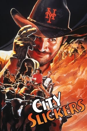 城市乡巴佬,City Slickers(1991电影)