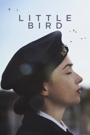 Little Bird电影海报