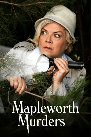 梅普沃思谋杀案,Mapleworth Murders(2020电视剧集)