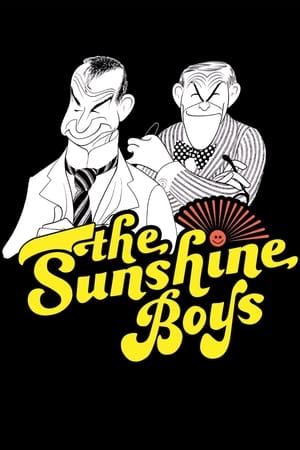 阳光小子,The Sunshine Boys(1975电影)