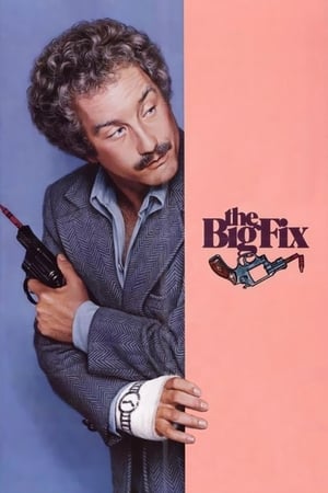 终极执行令,The Big Fix(1978电影)