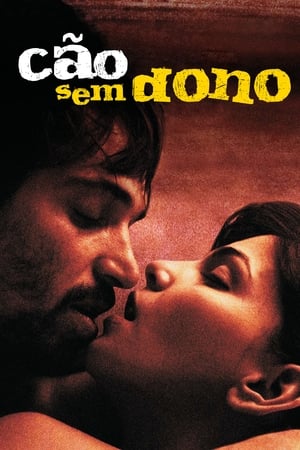 野犬,Cão Sem Dono(2007电影)