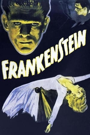 科学怪人,Frankenstein(1931电影)
