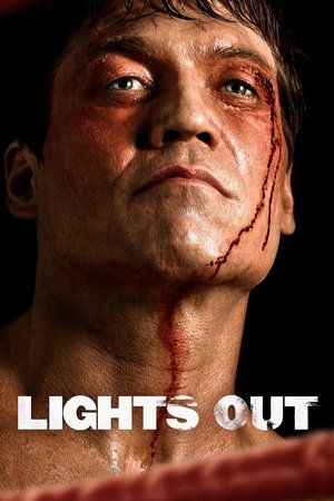 余光,Lights Out(2011电视剧集)