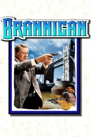 无所遁形,Brannigan(1975电影)