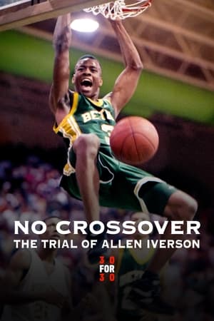 审判艾弗森,No Crossover: The Trial of <em>Allen</em> Iverson(2010电影)