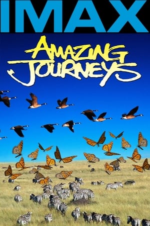 IMAX - 惊异之旅,Amazing Journeys(1999电影)